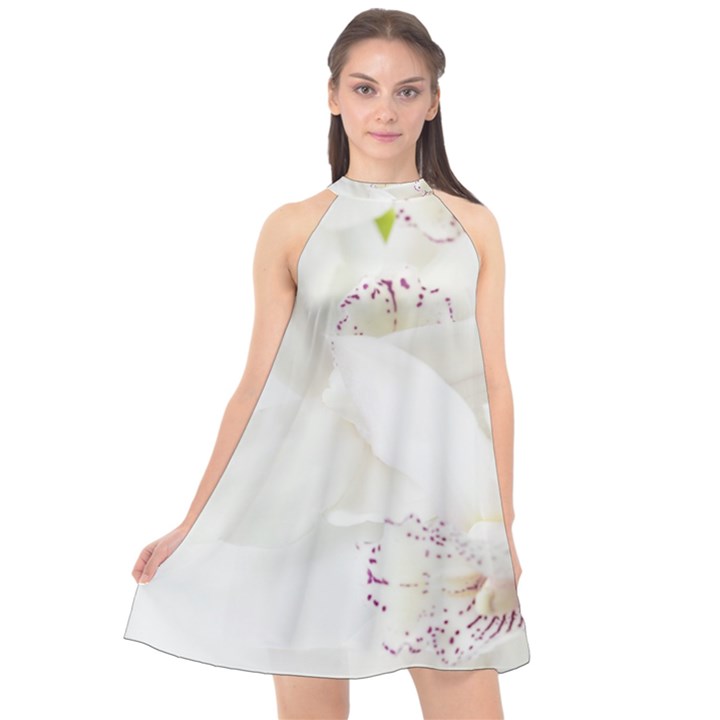 Orchids Flowers White Background Halter Neckline Chiffon Dress 