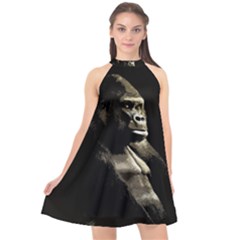 Gorilla  Halter Neckline Chiffon Dress  by Valentinaart