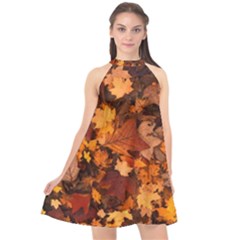 Fall Foliage Autumn Leaves October Halter Neckline Chiffon Dress  by Nexatart