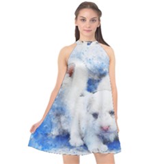 Dog Cats Pet Art Abstract Halter Neckline Chiffon Dress  by Celenk