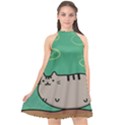 Fat Cat Halter Neckline Chiffon Dress  View1