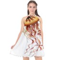 Animal Art Forms In Nature Jellyfish Halter Neckline Chiffon Dress  View1