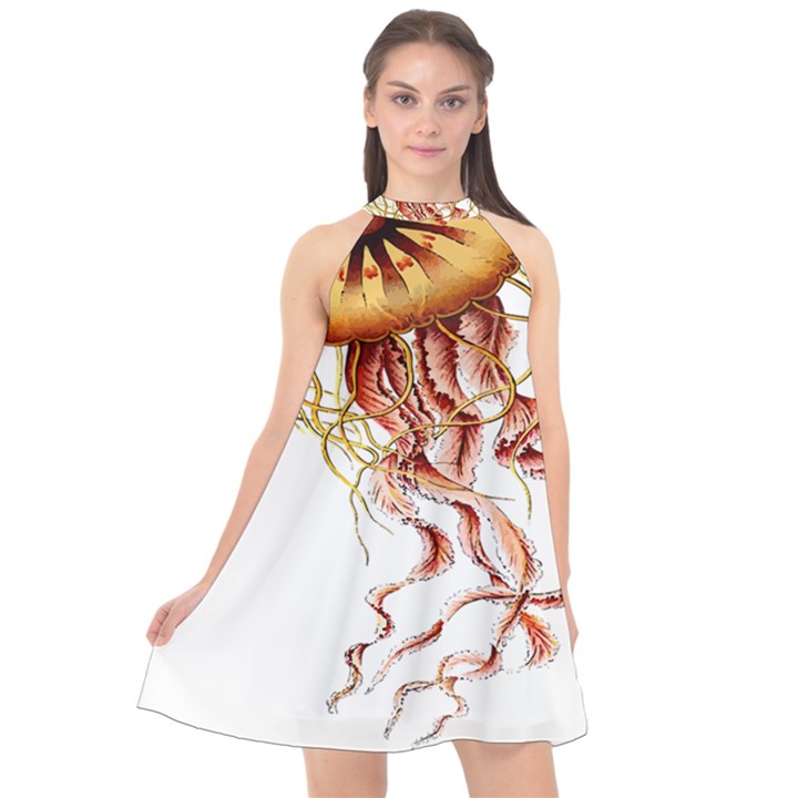 Animal Art Forms In Nature Jellyfish Halter Neckline Chiffon Dress 