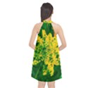 Yellow Sumac Bloom Halter Neckline Chiffon Dress  View2