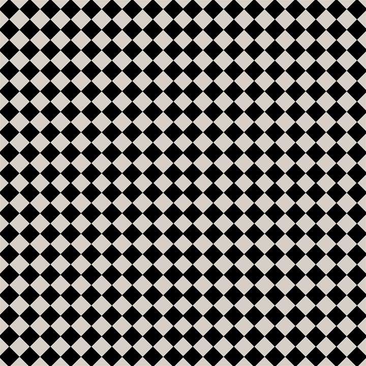 Block Fiesta Black and Abalone Grey Fabric