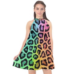 Paper-ranbow-tiger Halter Neckline Chiffon Dress  by nateshop