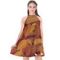 Watercolor Leaves Leaf Orange Halter Neckline Chiffon Dress  View1